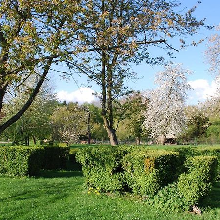 Gites Aux Fleurs De Cerises Le Plessis-Luzarches Exterior photo